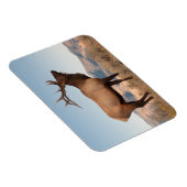 ブルエルクニアマンモス |ワイオミング マグネット (右側)