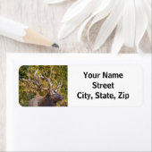 ブルエルクビザラウト差出人住所ラベル ラベル (インサイチュ)