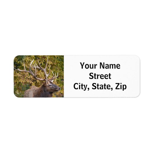 ブルエルクビザラウト差出人住所ラベル ラベル (正面)