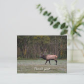 ブルエルクモーニングウォークありがとうはがき ポストカード (スタンド正面)