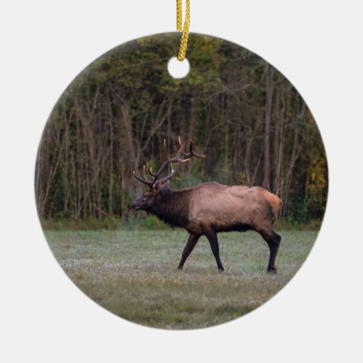 ブルエルクモーニングウォーク セラミックオーナメント (正面)