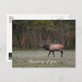 ブルエルクモーニング考えるウォーク・オブ・ユー・ポストカード ポストカード (正面/裏面)