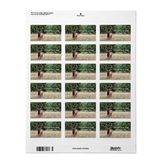 ブルエルク住所 シール (フルシート)