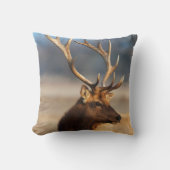 ブルエルク素晴らしのポートレート クッション (正面)