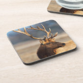 ブルエルク素晴らしのポートレート コースター (左側)