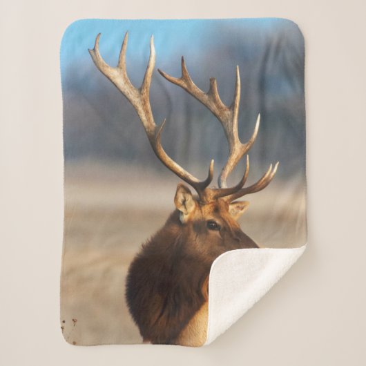 ブルエルク素晴らしのポートレート シェルパブランケット (正面)