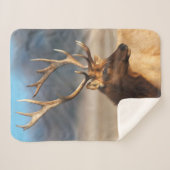 ブルエルク素晴らしのポートレート シェルパブランケット (正面(横))