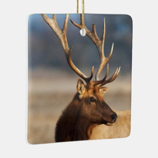 ブルエルク素晴らしのポートレート セラミックオーナメント (右)