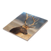 ブルエルク素晴らしのポートレート タイル (側面)