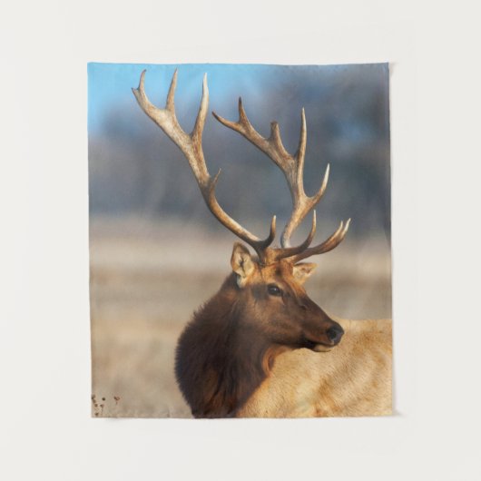 ブルエルク素晴らしのポートレート タペストリー (正面)