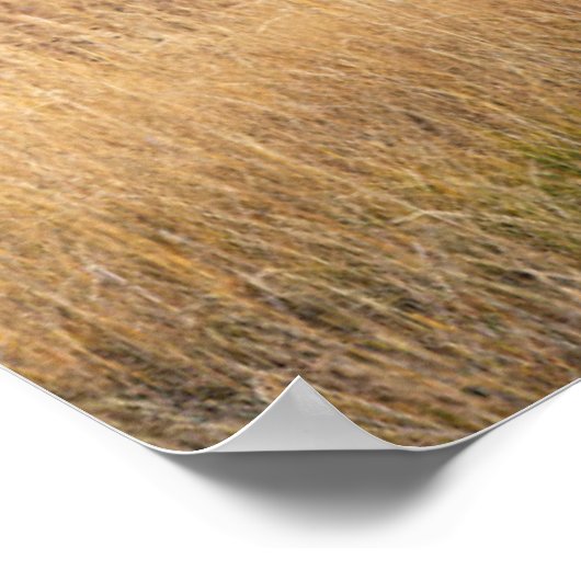 ブルエルク |イエローストーン国立公園 ポスター (角)