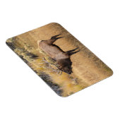 ブルエルク |イエローストーン国立公園 マグネット (右側)