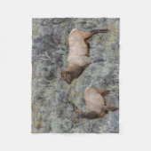 ブルエルク イエローストーン国立公園(ワイオミング州) フリースブランケット (正面)