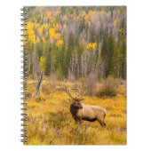 ブルエルク |コロラド州ロッキーマウンテン国立公園 ノートブック (正面)
