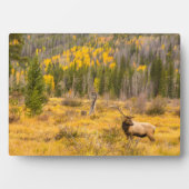 ブルエルク |コロラド州ロッキーマウンテン国立公園 フォトプラーク (正面)