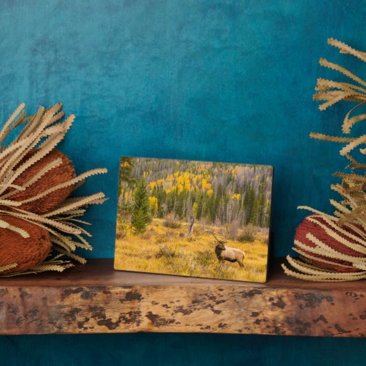 ブルエルク |コロラド州ロッキーマウンテン国立公園 フォトプラーク (側面)