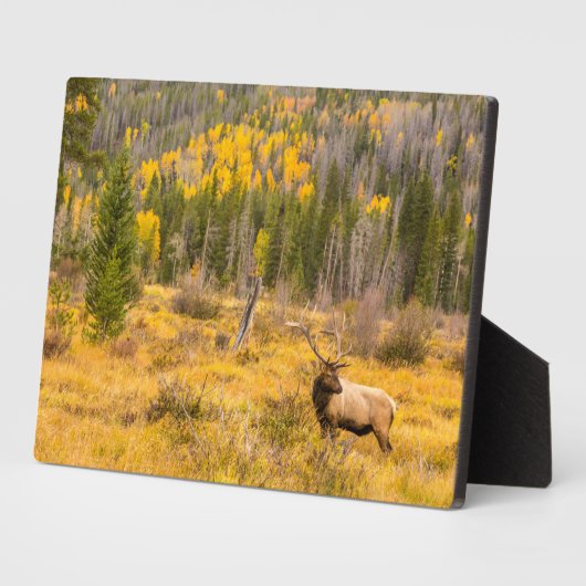 ブルエルク |コロラド州ロッキーマウンテン国立公園 フォトプラーク (側面)