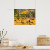 ブルエルク |コロラド州ロッキーマウンテン国立公園 ポスター (キッチン)