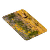 ブルエルク |コロラド州ロッキーマウンテン国立公園 マグネット (右側)