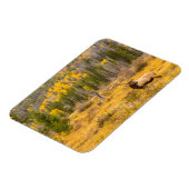 ブルエルク |コロラド州ロッキーマウンテン国立公園 マグネット (左側)