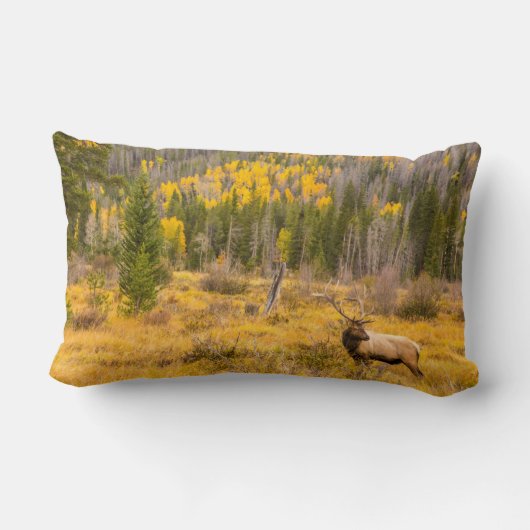 ブルエルク |コロラド州ロッキーマウンテン国立公園 ランバークッション (裏面)