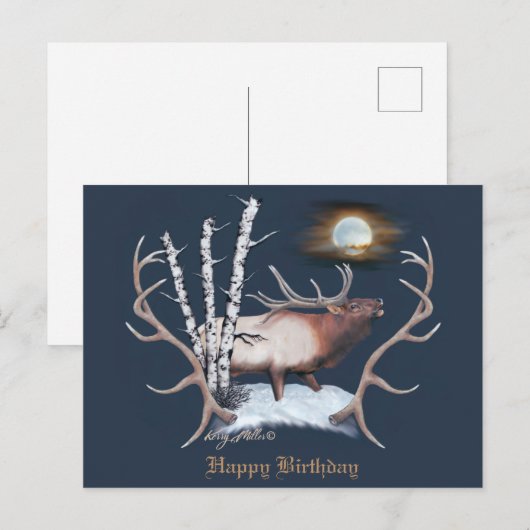 ブルエルク ポストカード (正面/裏面)