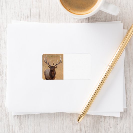 ブルエルク ラベル (インサイチュ)