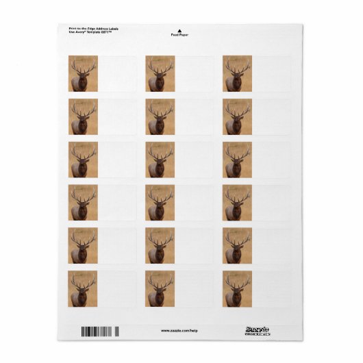 ブルエルク ラベル (フルシート)