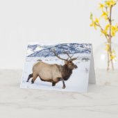 ブルエルク |ワイオミング カード (黄色い花)