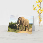 ブルエレファントグリーティングカード カード (黄色い花)