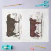 ブルカウエフエメラデクページヴィンテージファーム 薄葉紙 (クラフト)