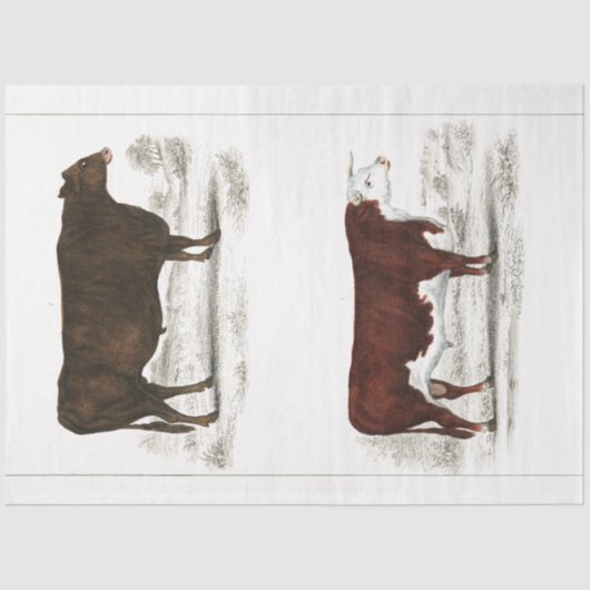 ブルカウエフエメラデクページヴィンテージファーム 薄葉紙 (正面)