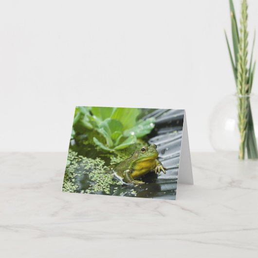 ブルカエルいじめをする サンキューカード (正面)