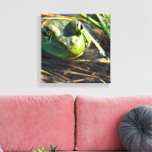 ブルカエル顔キャンバスプリント キャンバスプリント (インサイチュ (リビング))