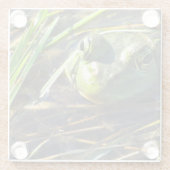 ブルカエル ガラスコースター (裏面)