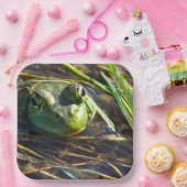 ブルカエル ペーパープレート (パーティー)