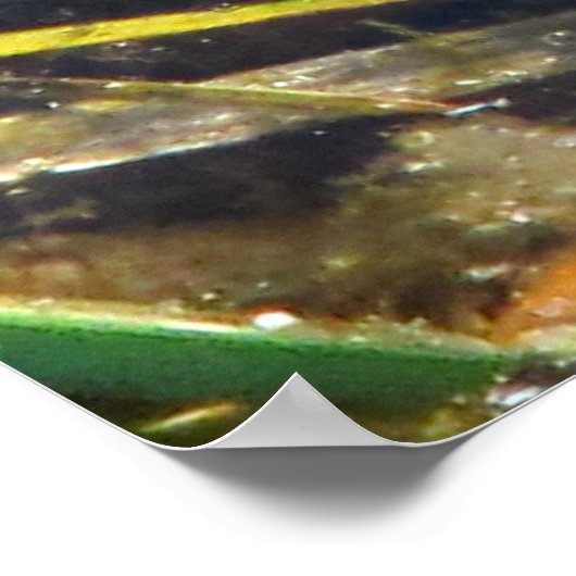 ブルカエル ポスター (角)