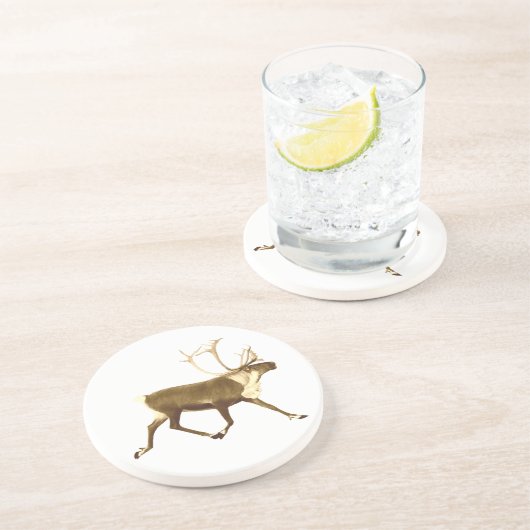 ブルカリブー コースター (側面)