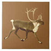 ブルカリブー – セピア タイル (正面)