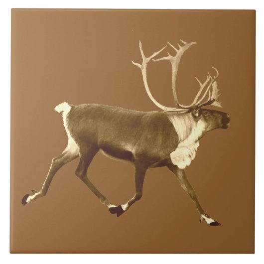 ブルカリブー – セピア タイル (正面)