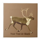 ブルカリブー – セピア タイル (正面)