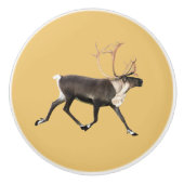 ブルカリブー セラミックノブ (正面)