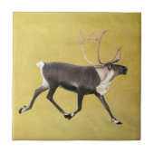 ブルカリブー タイル (正面)