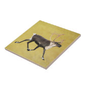 ブルカリブー タイル (側面)