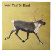 ブルカリブー タイル (正面)