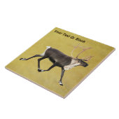 ブルカリブー タイル (側面)