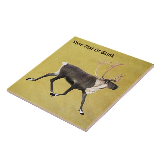 ブルカリブー タイル (側面)