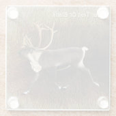 ブルカリブー（トナカイ） ガラスコースター (裏面)