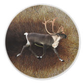 ブルカリブー（トナカイ） セラミックノブ (正面)