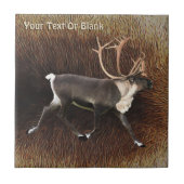 ブルカリブー(トナカイ) タイル (正面)